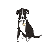 Dog Sticker by ELISABETTA FRANCHI