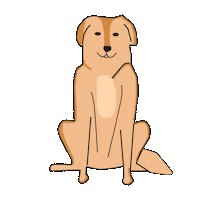 Dog Sticker by ELISABETTA FRANCHI