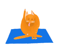 cat yoga Sticker