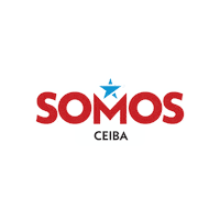 Puerto Rico Ceiba Sticker by GFR Media