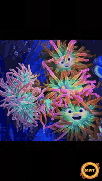 3Danimation GIF