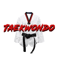 Fight Kick Sticker by Índer Envigado