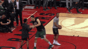Nba Playoffs Sport GIF by NBA