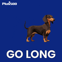 Animation Go Long GIF by Plus500