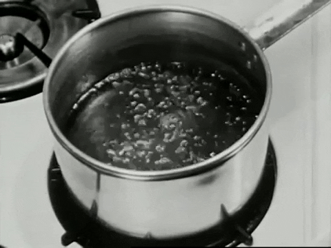 scottok giphygifmaker cooking boil filmstrip GIF