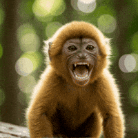 Laugh Smile GIF by Salih Kizilkaya
