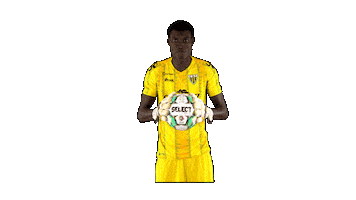 Liga Nos Sticker by CD Tondela
