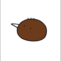 kooing kiwibird 두쫀쿠 kooing 쿠잉 GIF