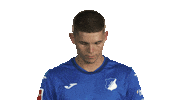 Look Up Tsg Hoffenheim Sticker by Bundesliga
