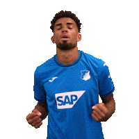 Kevin Akpoguma Sport Sticker by TSG Hoffenheim