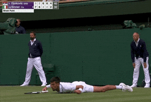 Flying Novak Djokovic GIF