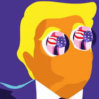 thelot-creative illustration omg wtf trump GIF