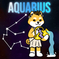 Zodiac Sign Crypto GIF by Dogelon Mars
