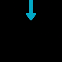 Arrow Point GIF by See Business Solutions