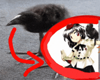 Project Crow GIF