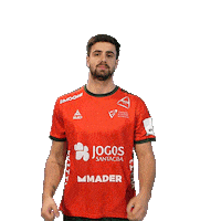 Letsgovamos Sticker by Federação de Andebol de Portugal