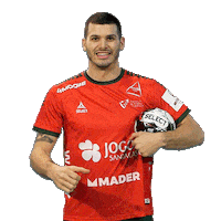 Letsgovamos Sticker by Federação de Andebol de Portugal