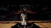 Ncaa Basketball GIF by Mizzou Athletics
