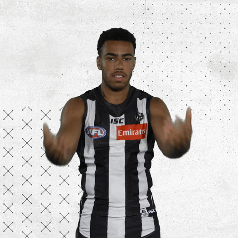 GIF by CollingwoodFC