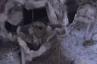 birth how kosta was born GIF