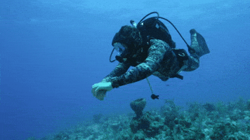 Wait 'Till You See The Cleaning Station