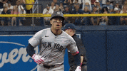 Celebrate Major League Baseball GIF by MLB