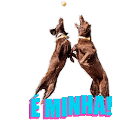 Bull Bali Sticker by Bono Surf Dog