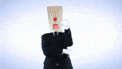 vsf GIF by Canal do Otário