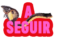 Logo 3D Sticker by Netflix Brasil