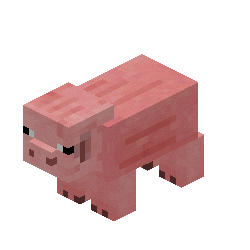 Pig Cerdo Sticker