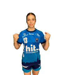 Handball Bsv Sticker by Handball-Marketing Buxtehude