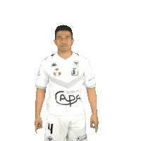 Dafe Sticker by Voltigeurs Castelbriantais