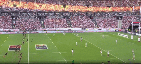 lorenzocalamai giphyupload GIF