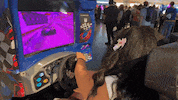 Arcade Games Car GIF
