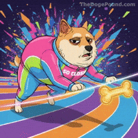 Shiba Inu Running GIF by Doge Pound