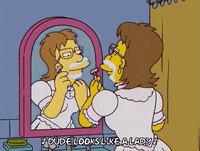 season 16 episode 10 GIF