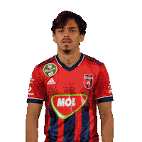 molfehervarfcgif vidi szekesfehervar fehervar molfehervarfc Sticker