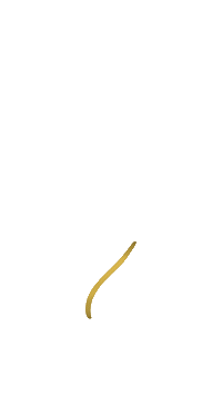 bluntandbrave stickers instagram stickers bluntandbrave Sticker