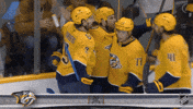 Happy Nashville Predators GIF by NHL