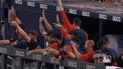 Lets Go Sport GIF by MLB