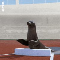 well done applause GIF by ARTE