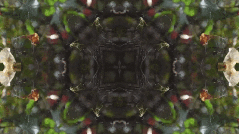 Art Love GIF by jorgemariozuleta