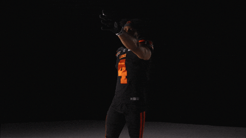 Football Vancouver GIF by BC Lions