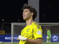 Al Hilal Perez GIF