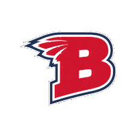 B Managua Sticker by Indios del Boer
