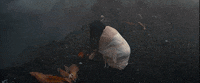 susiesuh music video nature flower rain GIF