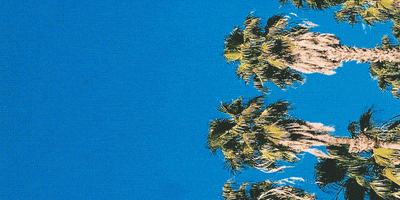 atlantic records tick tock GIF by Christian Lalama