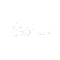 Tour Tum Sticker by TOURUNIVERSOMUJER