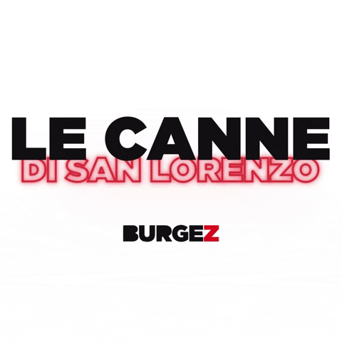 Burgez burgez instaburgez GIF