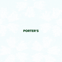 MissPortersSchool vote election missportersschool missporters GIF